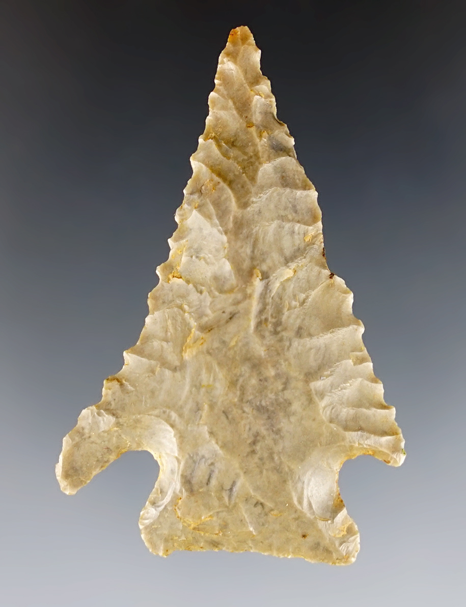 2 1/8" nicely serrated Pinetree found in Kentucky. In excellent overall condition.