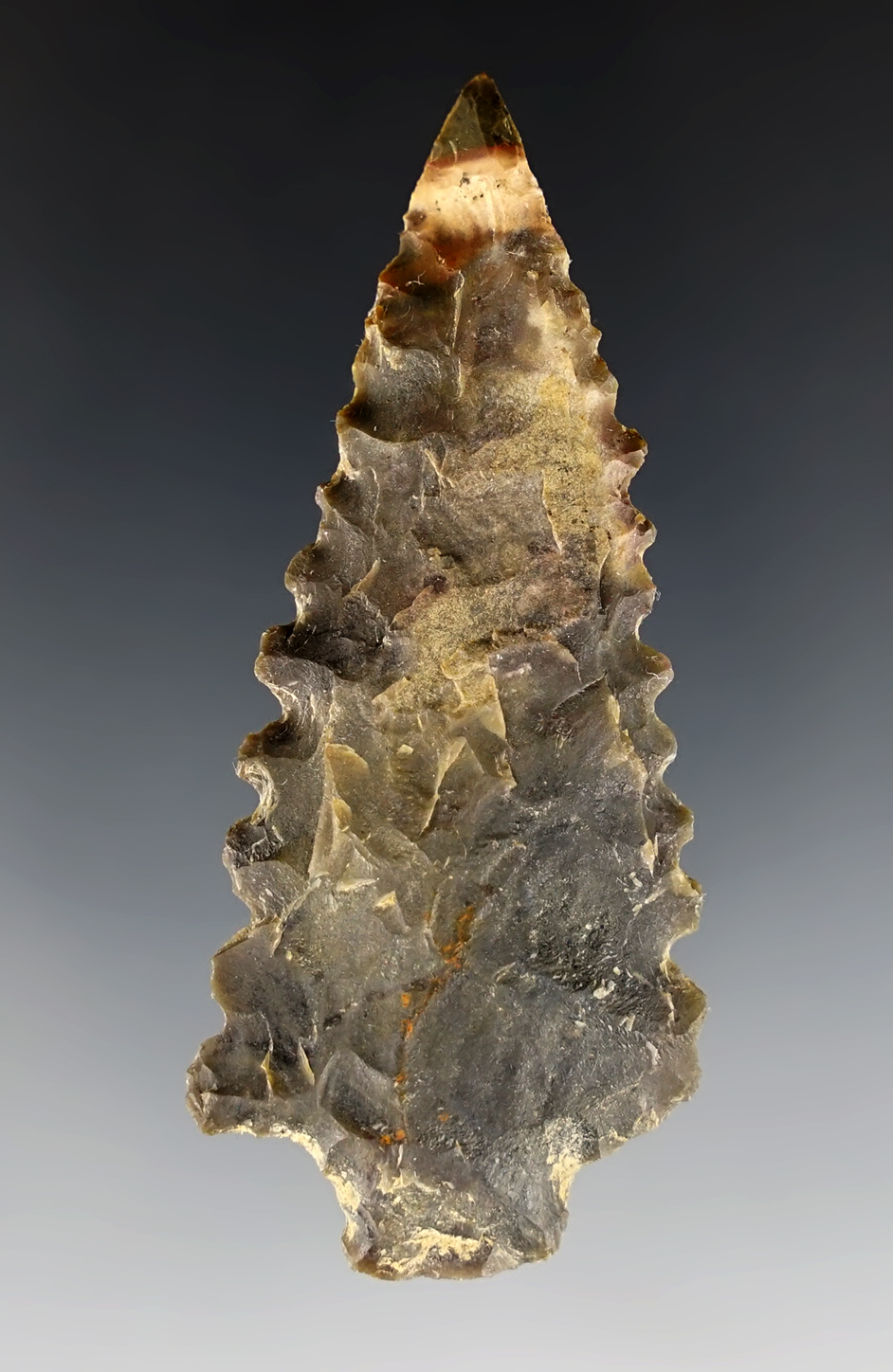 2 3/4" heavily serrated Kirk Stemmed found in Todd Co., Kentucky. Ex. Charlie Long.