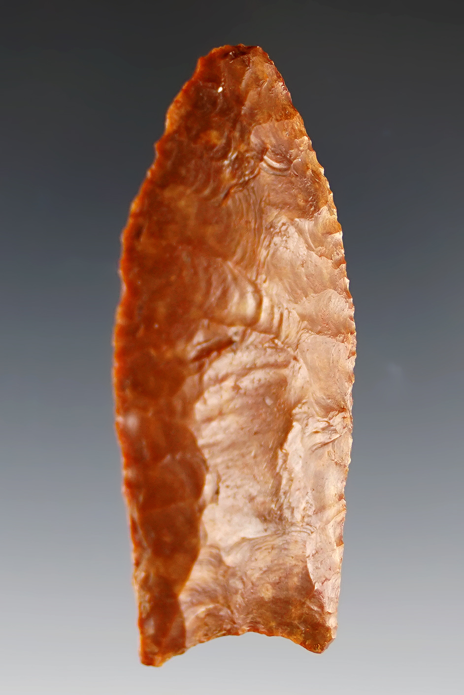 2 1/4" Fluted Paleo Clovis. Found in southern Missouri. Comes with a Partain COA.