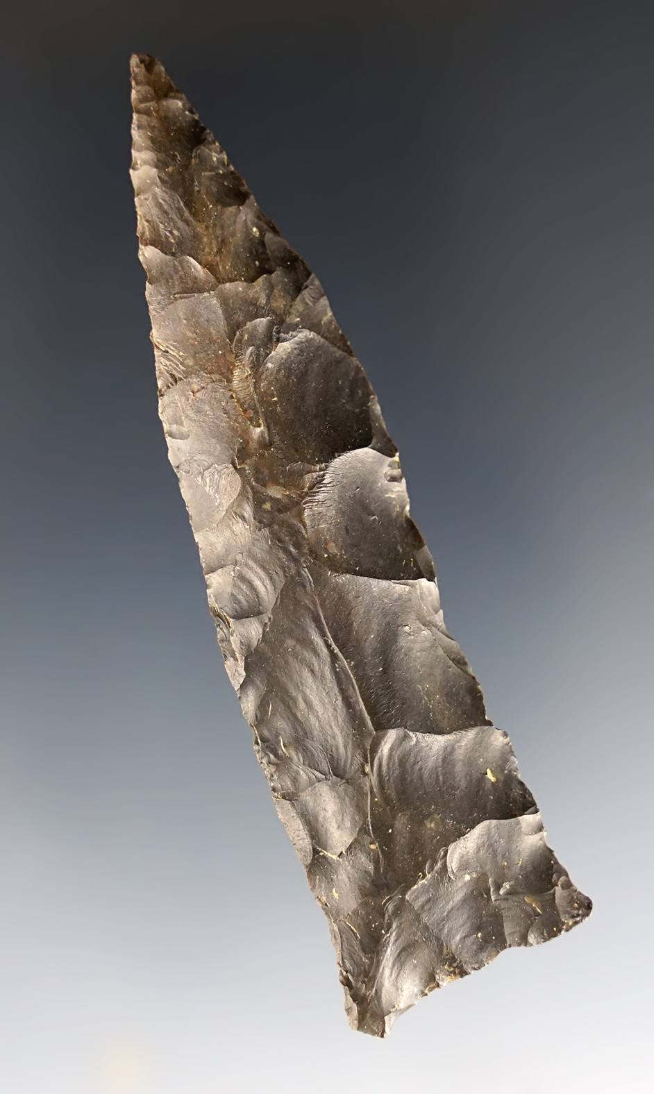 3 1/8" Manasota found in the Florida area. Ex. Russell Strunk. Comes with a Rogers COA.