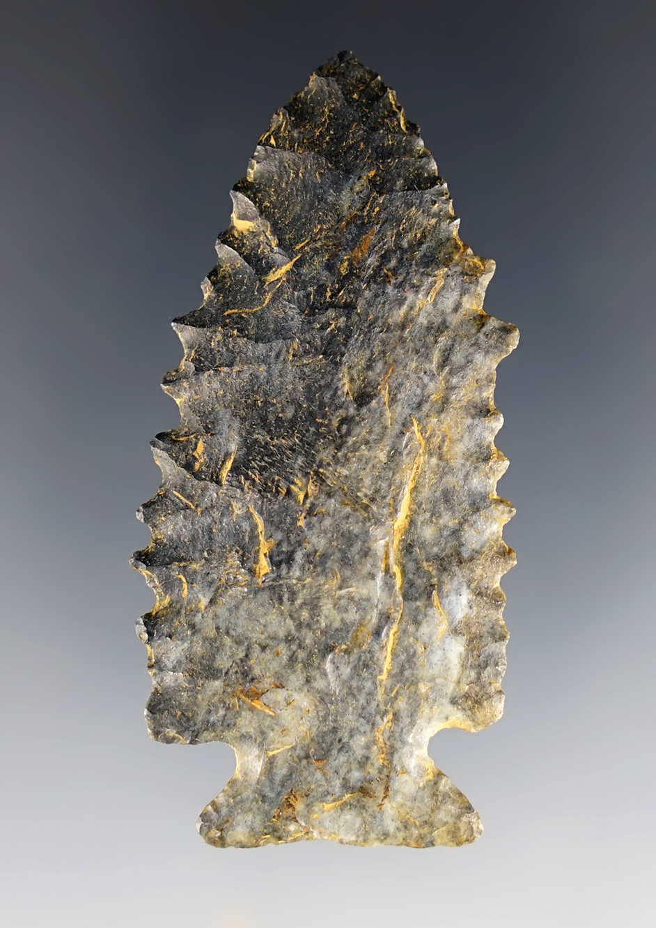Incredible serrations on this 2 1/2" Stilwell. Found in Coshocton Co., Ohio. Ex. Dr. Zariphes.