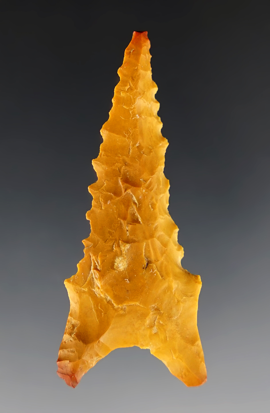 Well serrated 2 3/8" Dalton found in Clay Co., Arkansas. Ex. Charlie Long.