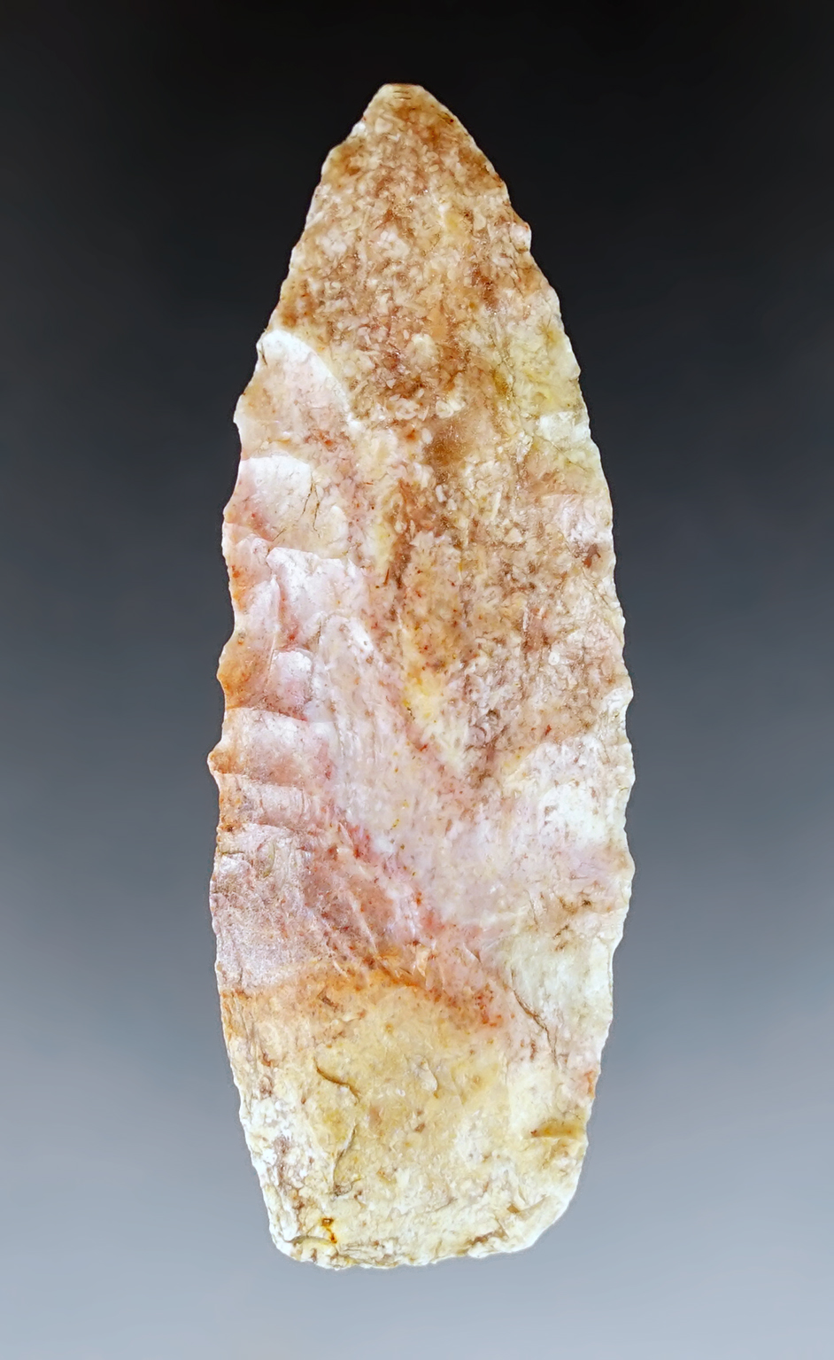 2 7/16" Paleo Lanceolate with nicely ground lower edges, found in Kentucky.
