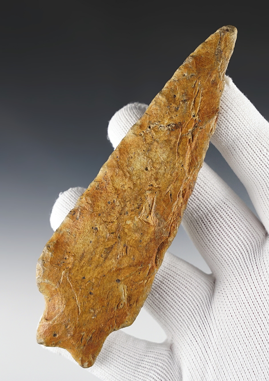 Large 5 9/16" Piedmont - Northern Variety - Pennsylvania. Nicely river polished. Bennett COA.