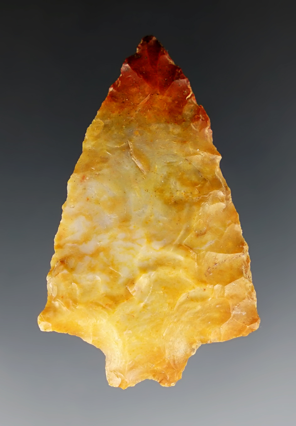 Highly colorful 2" Stanly Bifurcate found in Clark Co., Kentucky by Charlie Long.