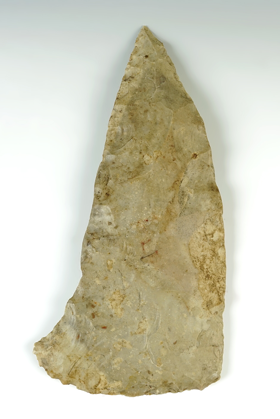 Massive 8" Blade that is well patinated. Found in Simpson Co., Mississippi.  Davis COA, G-9.