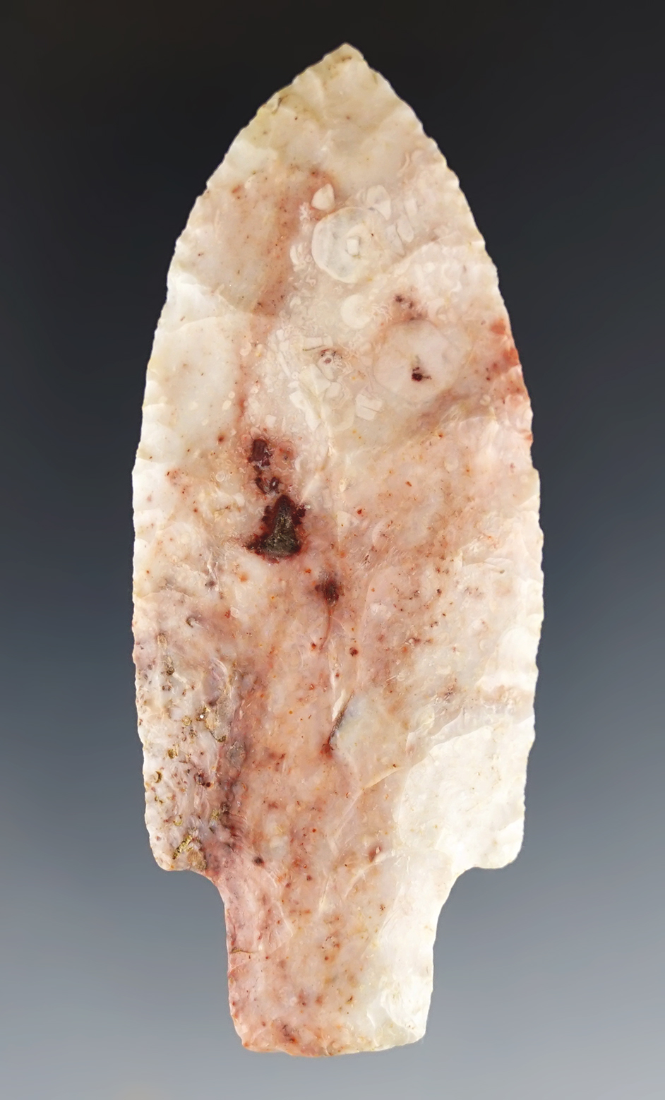 Colorful 3 3/16" Pontchartrain found in Arkansas. Finely made example. Davis COA, G-9..