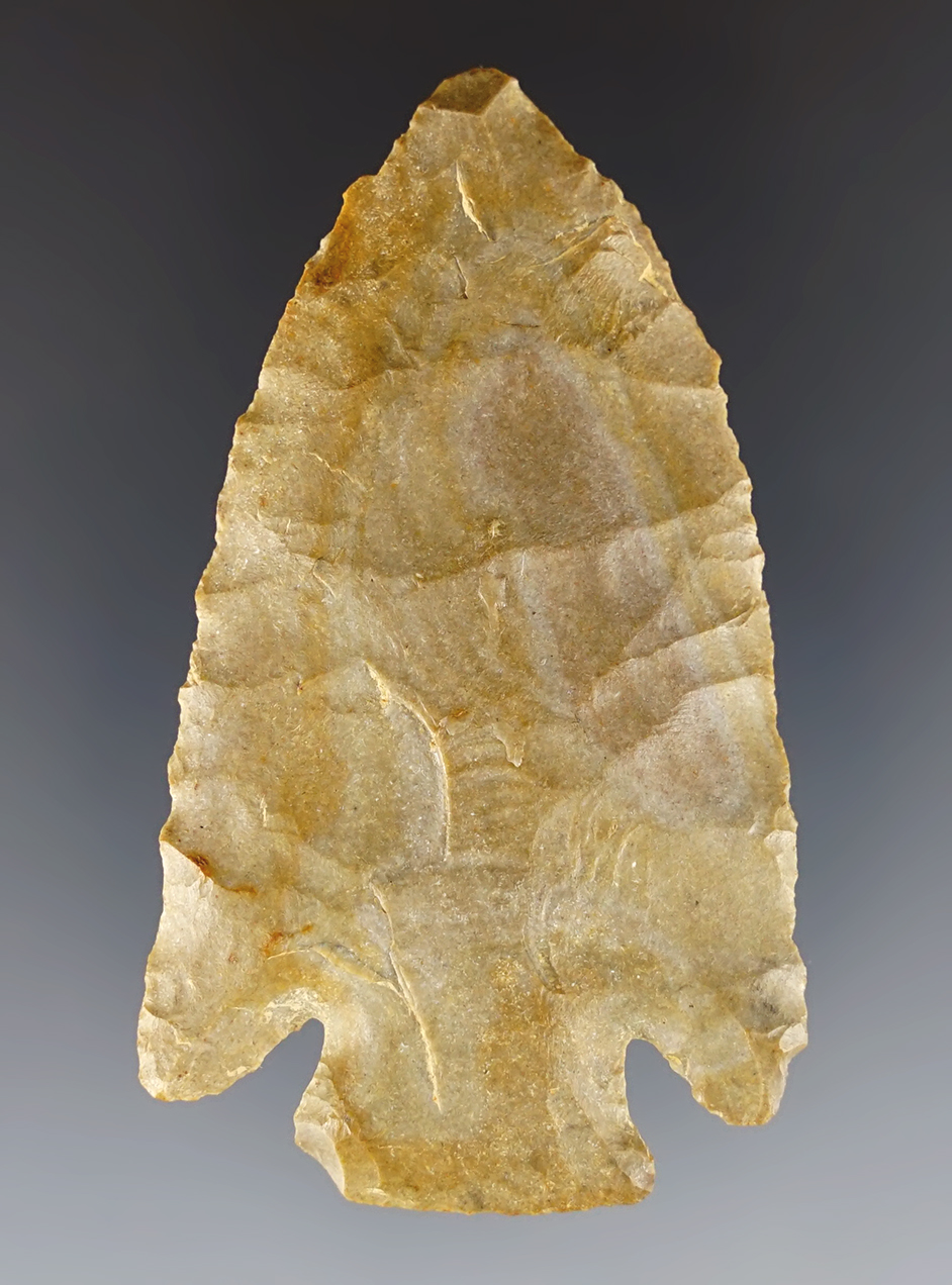 2 11/16" Archaic Conernotch made from attractive Buffalo River Chert. Found in Tennessee.
