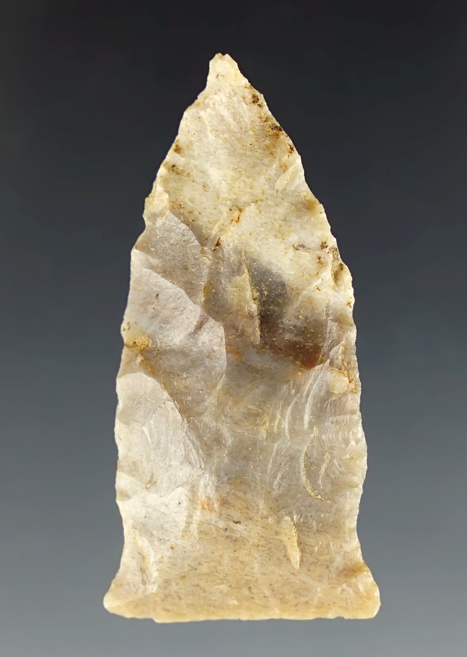 1 11/16" Transitional Paleo Beveled Knife. Found in Kentucky.