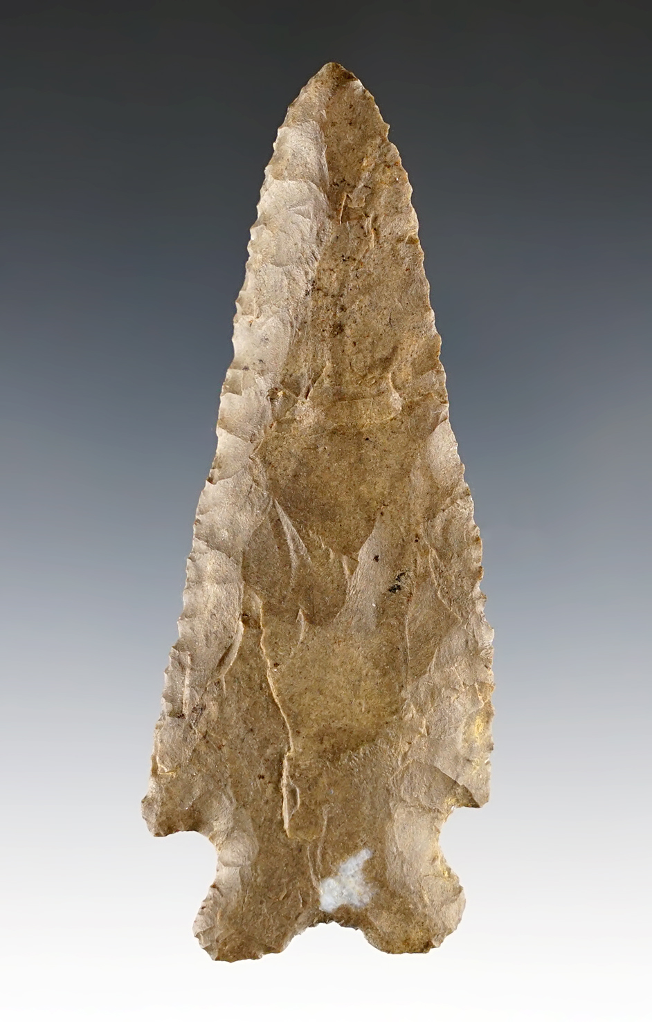 Classic 3 1/2" MacCorkle Bifurcate - Dover Chert. Found in Stewart Co., TN. Bennett COA.