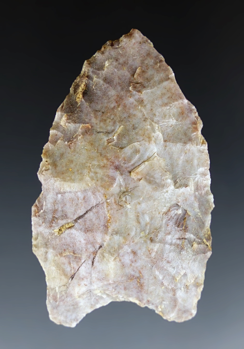 1 13/16" Paleo Hi-Lo found in W. Virginia. Some grinding to the lower blade edges. Ex. Tom Davis.