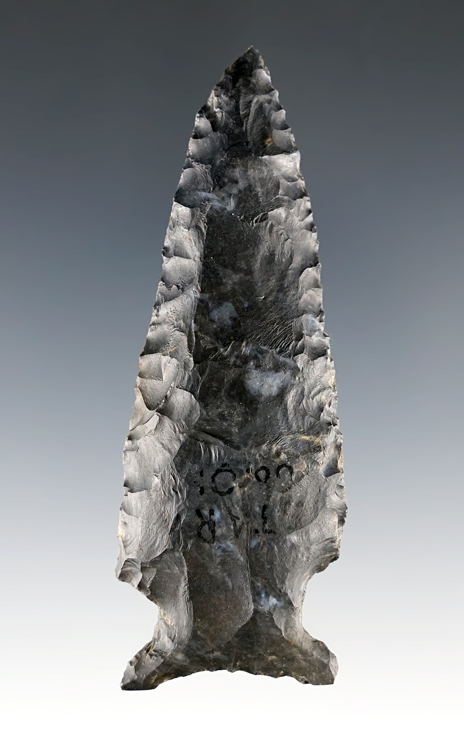 3 1/8" Archaic Sidenotch - Coshocton Flint. Found in Stark Co., Ohio. Ex. Stan Copeland. COA.