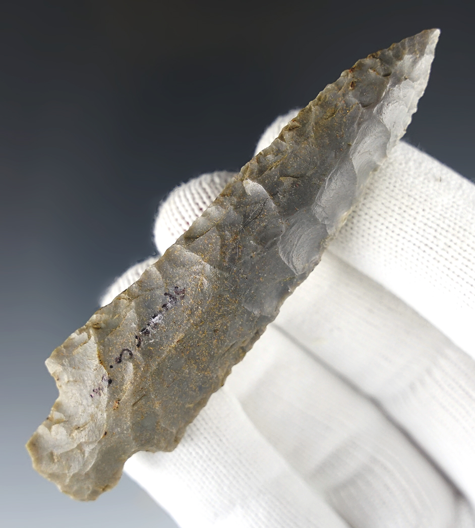 3 5/8"  Hornstone Little Bear Creek found in Spencer Co., Indiana.  Ex. Rocky Hall. Dickey COA.