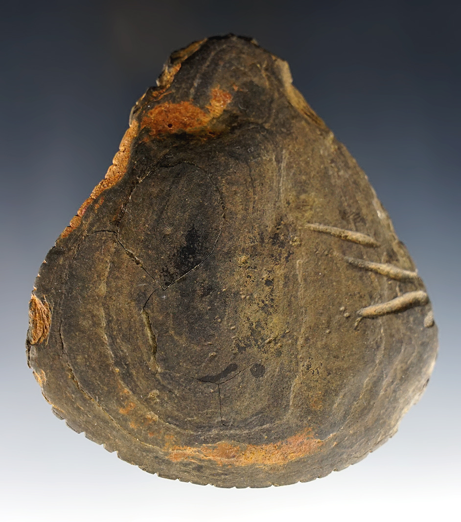 Unique 4" Shale undrilled Pendant with many tally marks around edges, notched and grooved.