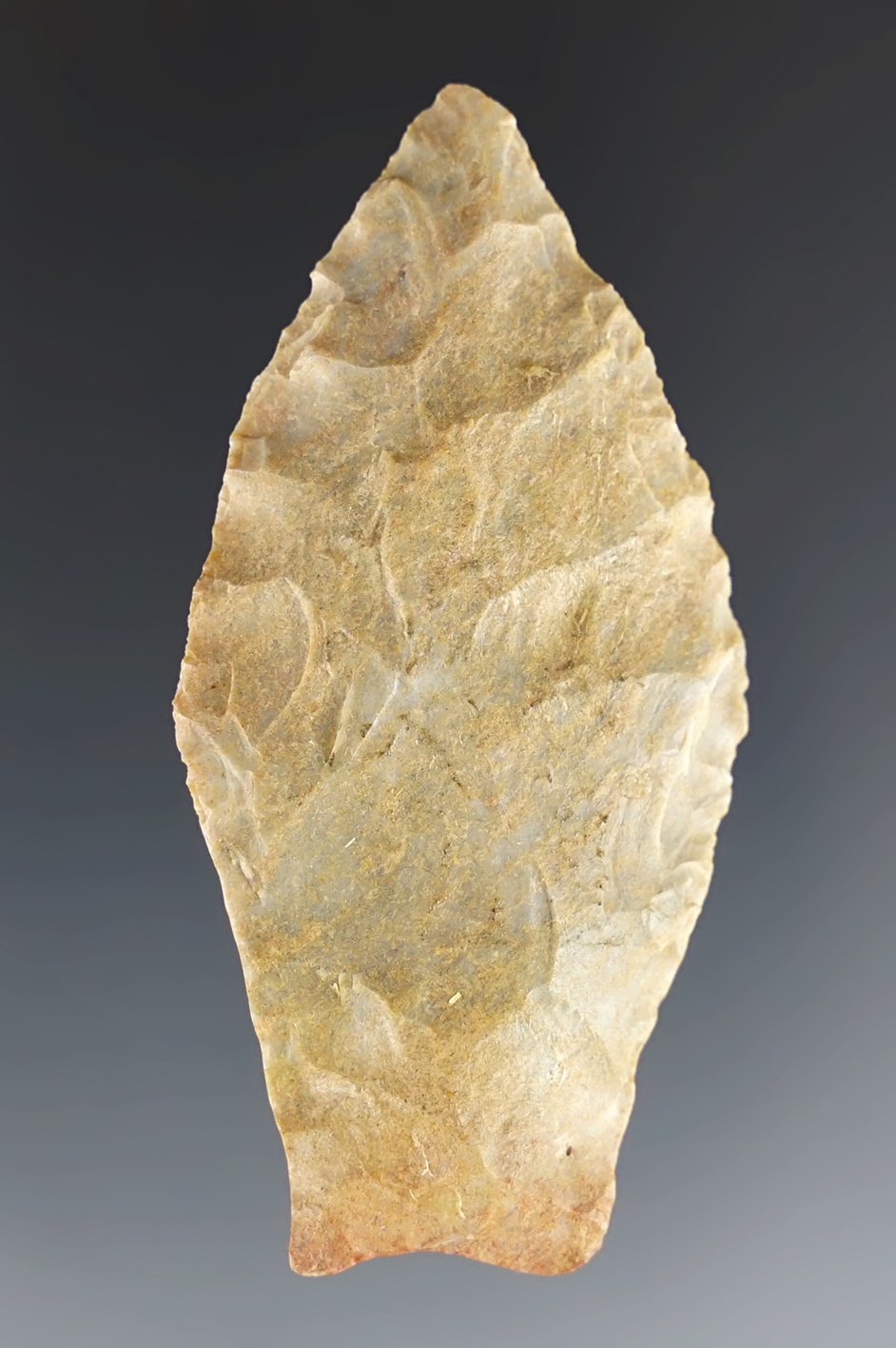 2 7/16" Paleo Hell Gap with excellent grinding to the stem area. Found in Pulaski Co., Kentucky.