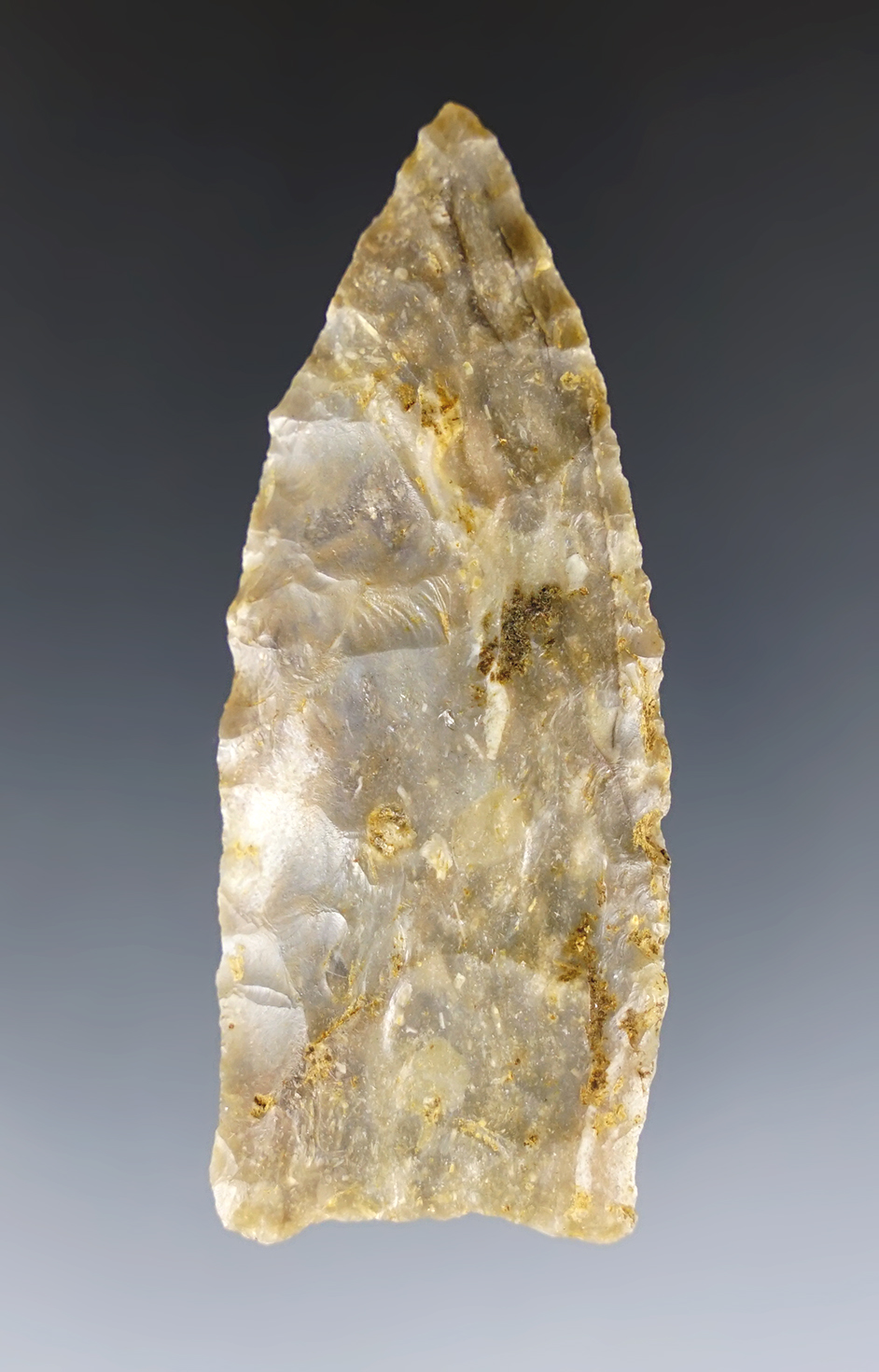 2 1/2" Dalton in excellent condition. Found by Charlie Long in Montgomery Co., Kentucky.