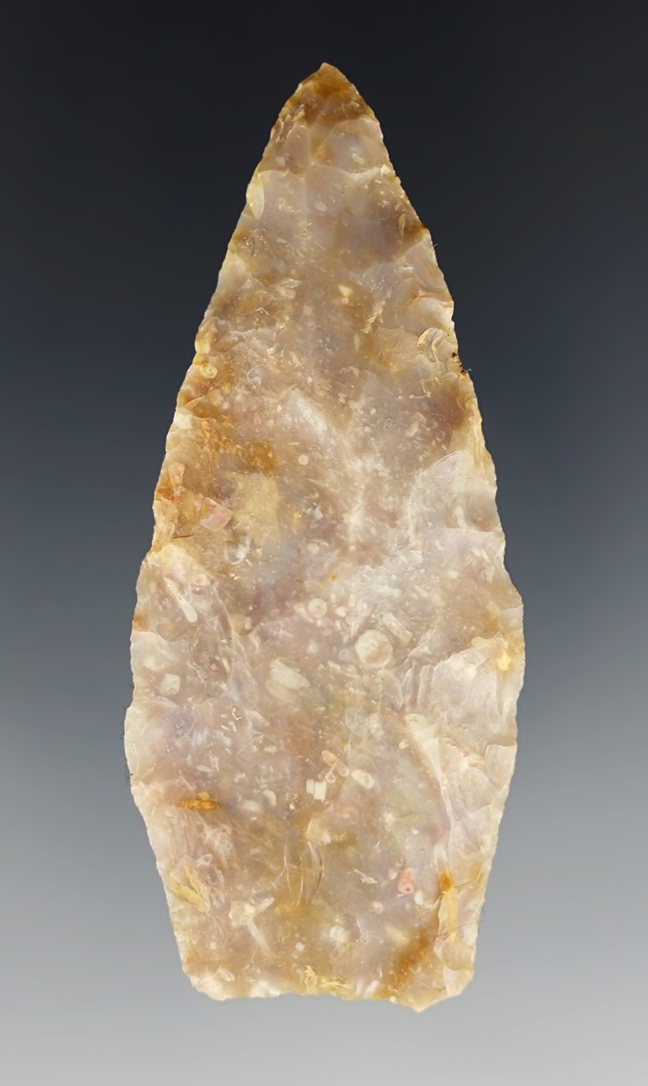 2 3/4" Agate Basin - Boyles Chert. Found by Charlie Long in Bath Co., Kentucky.