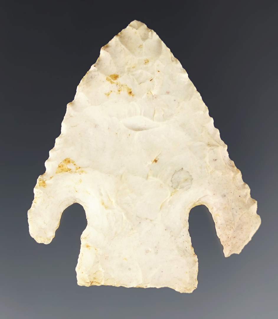 Rare! 1 7/8" Calf Creek with both barbs intact! Arkansas. Ex. Robert Bell and Carl Engelder. COA.