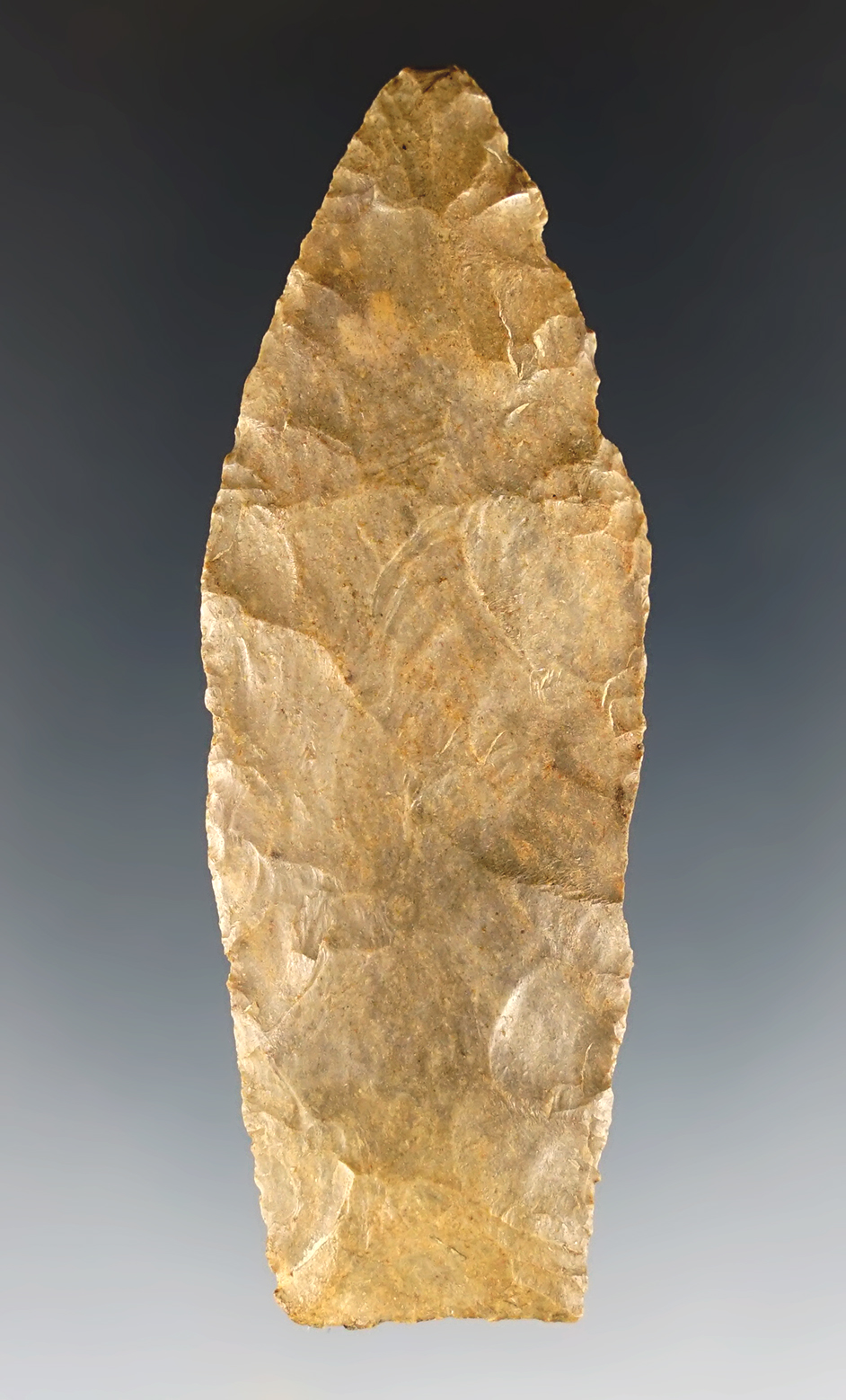 Thin and nicely made 2 7/8" Paleo Lanceolate found in Muskingum Co., Ohio. Davis COA.