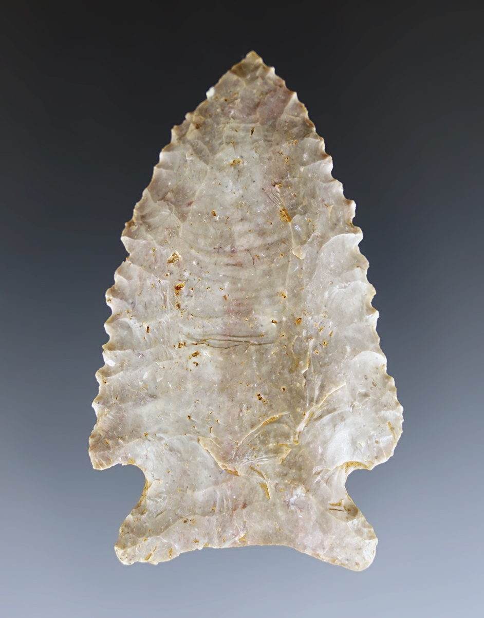 Classic 2 5/16" Pine Tree with fine serrations. Found in Tennessee. Ex. Jerry Dickey.