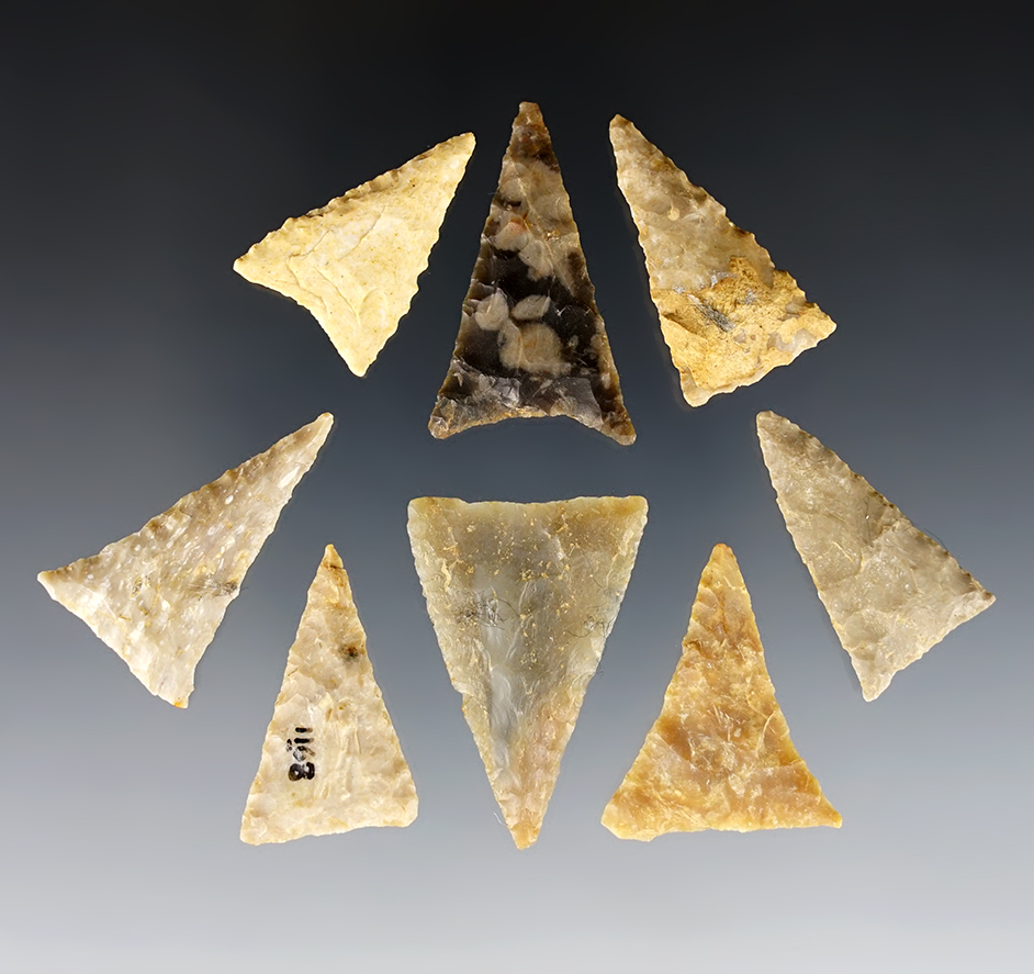 Set of 8 Hamilton Triangle points found by Charlie Long in Clark Co., Kentucky.