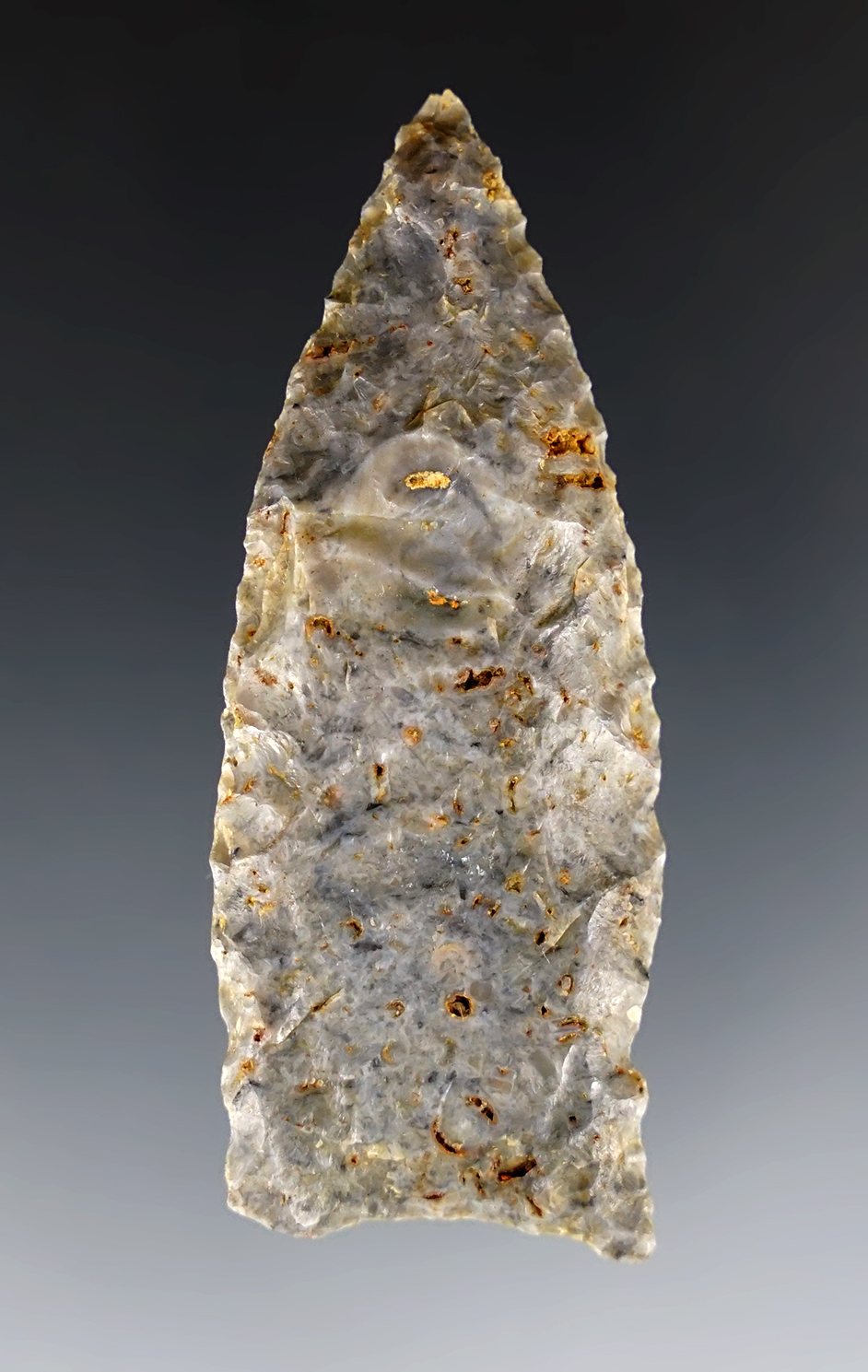 Well patinated 2 5/16" Fluted Paleo Clovis found in Pulaski Co., Kentucky. Ex. Charlie Long.
