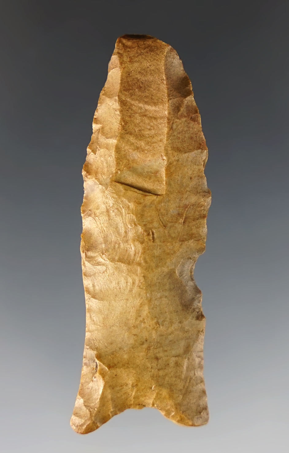2 1/4" Paleo with heavily ground lower-edges and an ancient impact fracture to tip. Tennessee.