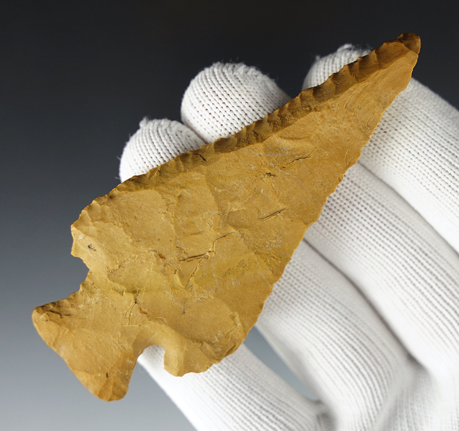 Anciently resharpened 3 3/4" Lost Lake - steeply beveled. Found in Clark Co., KY by Charlie Long.