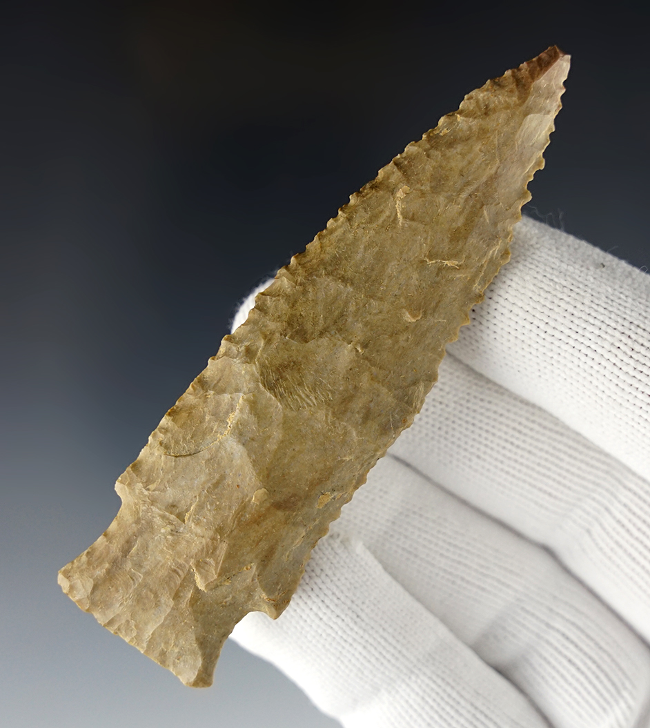 Serrated 3 5/8" Cypress Creek - Humphreys Co., Tennessee. Dover Chert. Bennett COA.