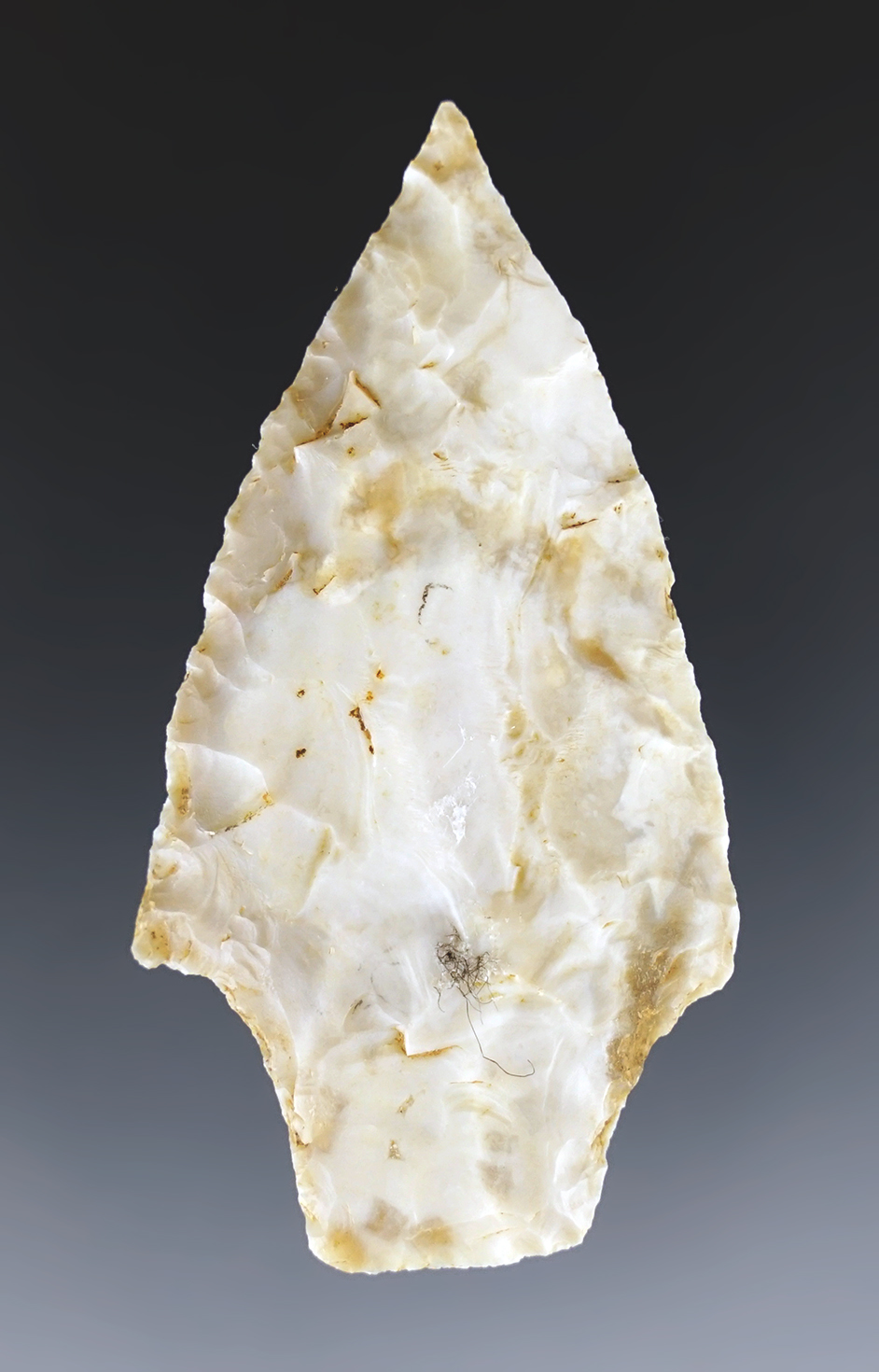 Thin and well flaked! 2 7/16" Standlee found in northwest Arkansas. Ex. Perino, Seismore.