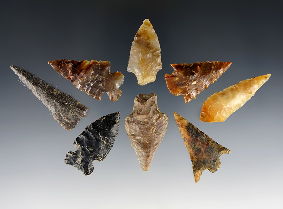 Set of 8 assorted points found in the Washington/Oregon area. Ex. Gene Favell.