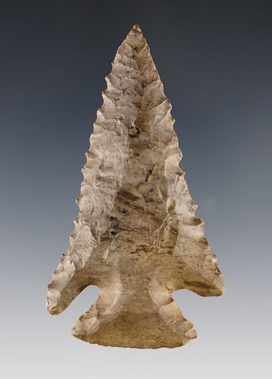 Well made 2 3/4" serrated Pine Tree - Dover Chert. Kentucky. Ex. Stringer. Matt Rowe COA.