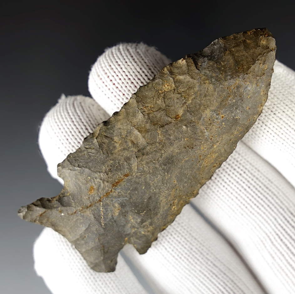 3 1/4" Stilwell with heavy basal grinding. Found at Fox Field, Mason Co., Kentucky by Dr. Glass.