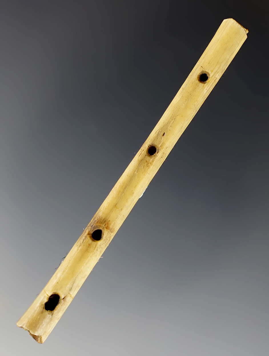 Fine 3 1/16" Bone Flute found at Fox Field, Mason Co., Kentucky. Ex. Dr. Glass.