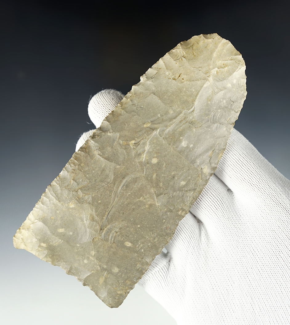Large 5 9/16" Blade with an anciently salvaged tip. Found in Freestone Co., Texas.