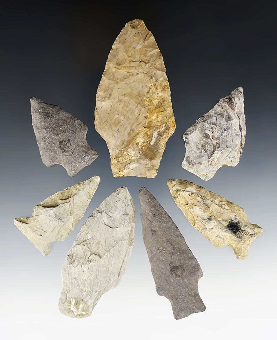 Set of 7 assorted Pennsylvania points in good condition. The largest is 3 1/16".