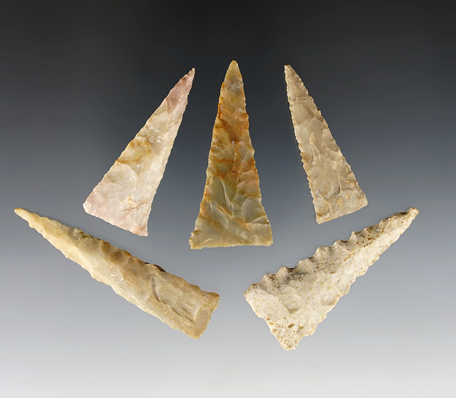 Set of 5 fine Triangle points found by Charlie Long in Clark Co., Kentucky. The largest is 2 1/4".