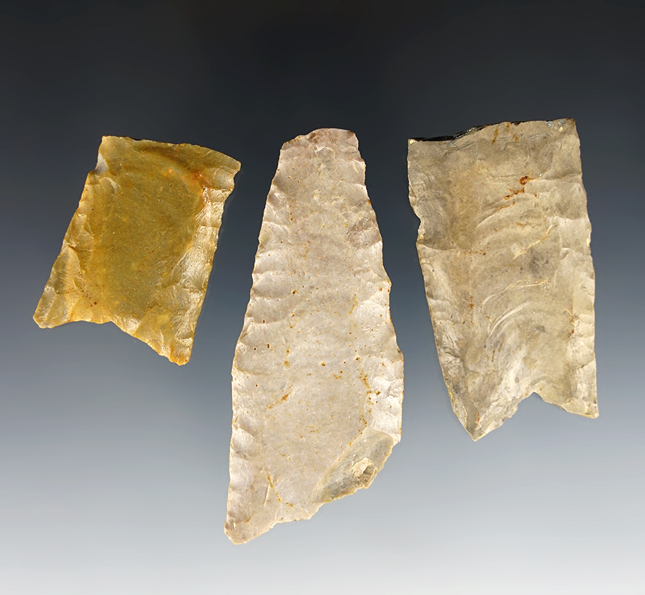 Set of 3 Paleo bases found in Davidson Co., Tennessee. Great group for study or restoration.