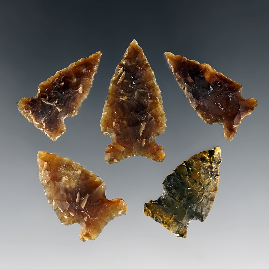 Set of 5 points made from Knife River Flint. Found in the Montana area. The largest is 1 1/4".