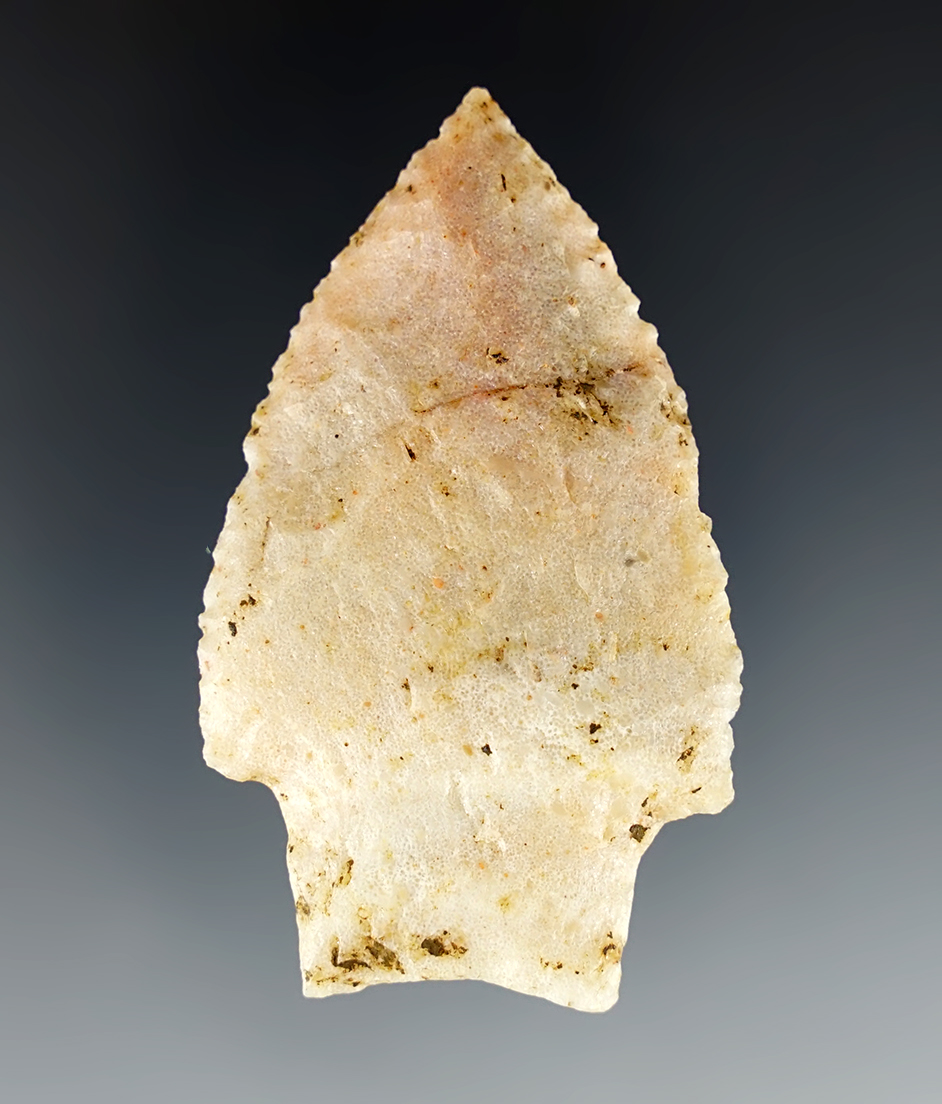 Fine 2 9/16" Johnson found in Jackson Co., Arkansas. Made from Oolithic Quartzite. Partain COA.