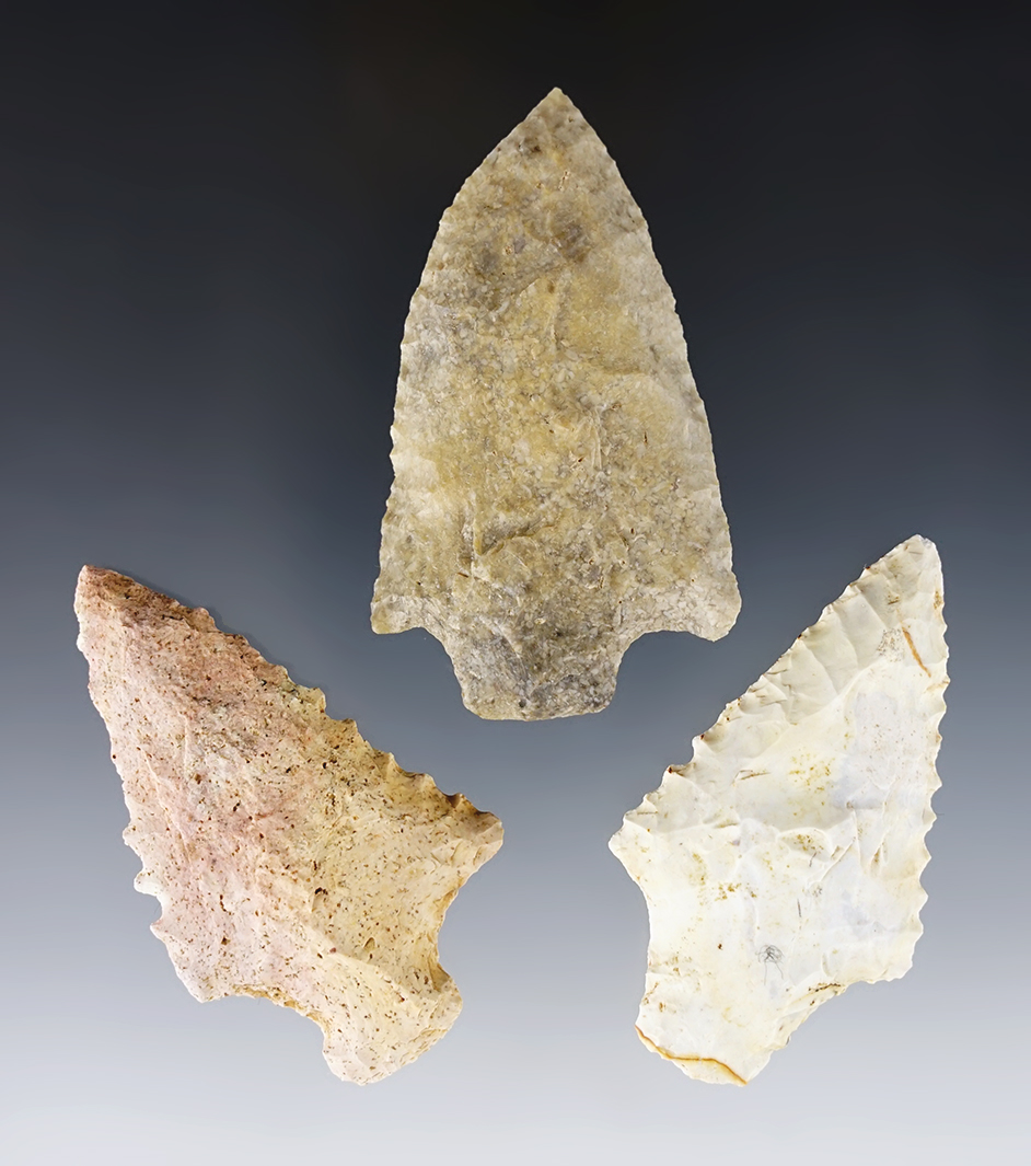 3 points including 2 South Prong Creek and 1 Hardee Bevel. All found in Jackson Co., Florida.