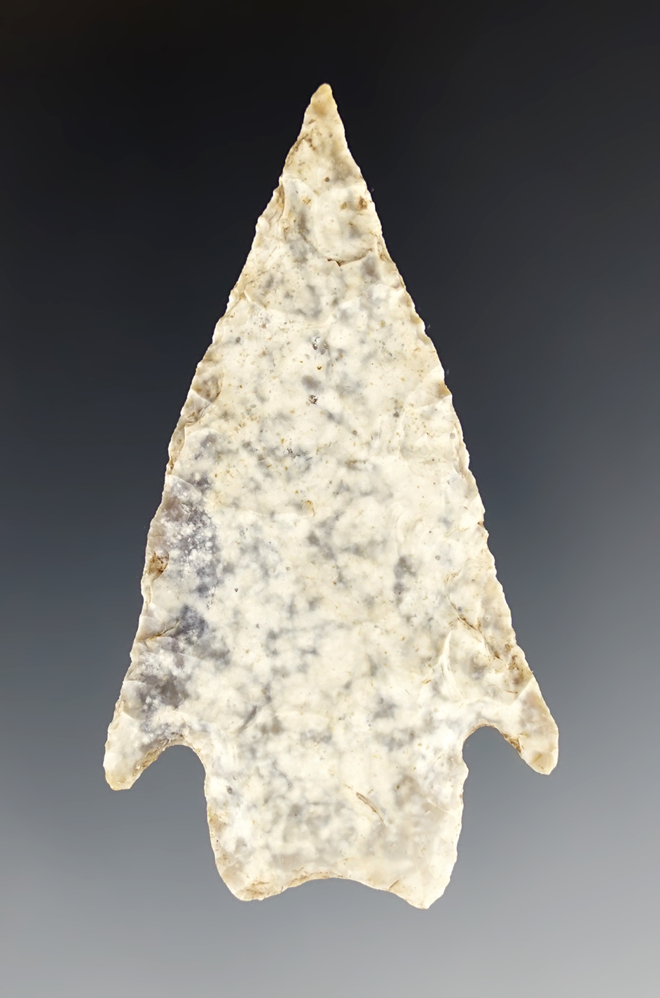 2 9/16" Marshall with a sharp tip and nice flaking. Found in Travis Co., Texas.Rogers COA.