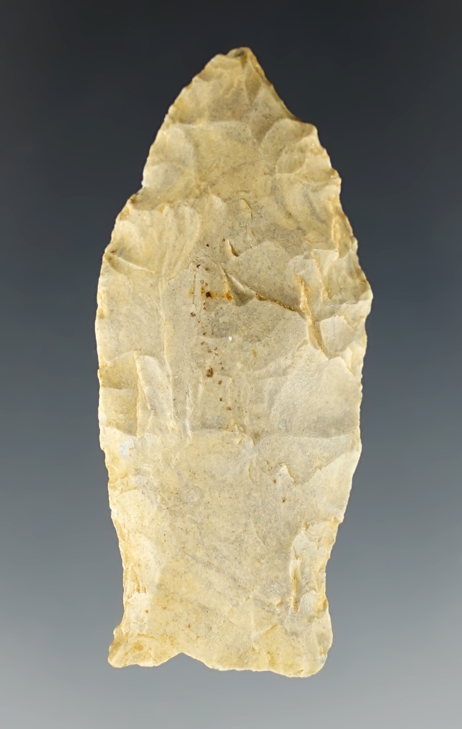 2 1/8" Paleo Beaver Lake found in Kentucky.