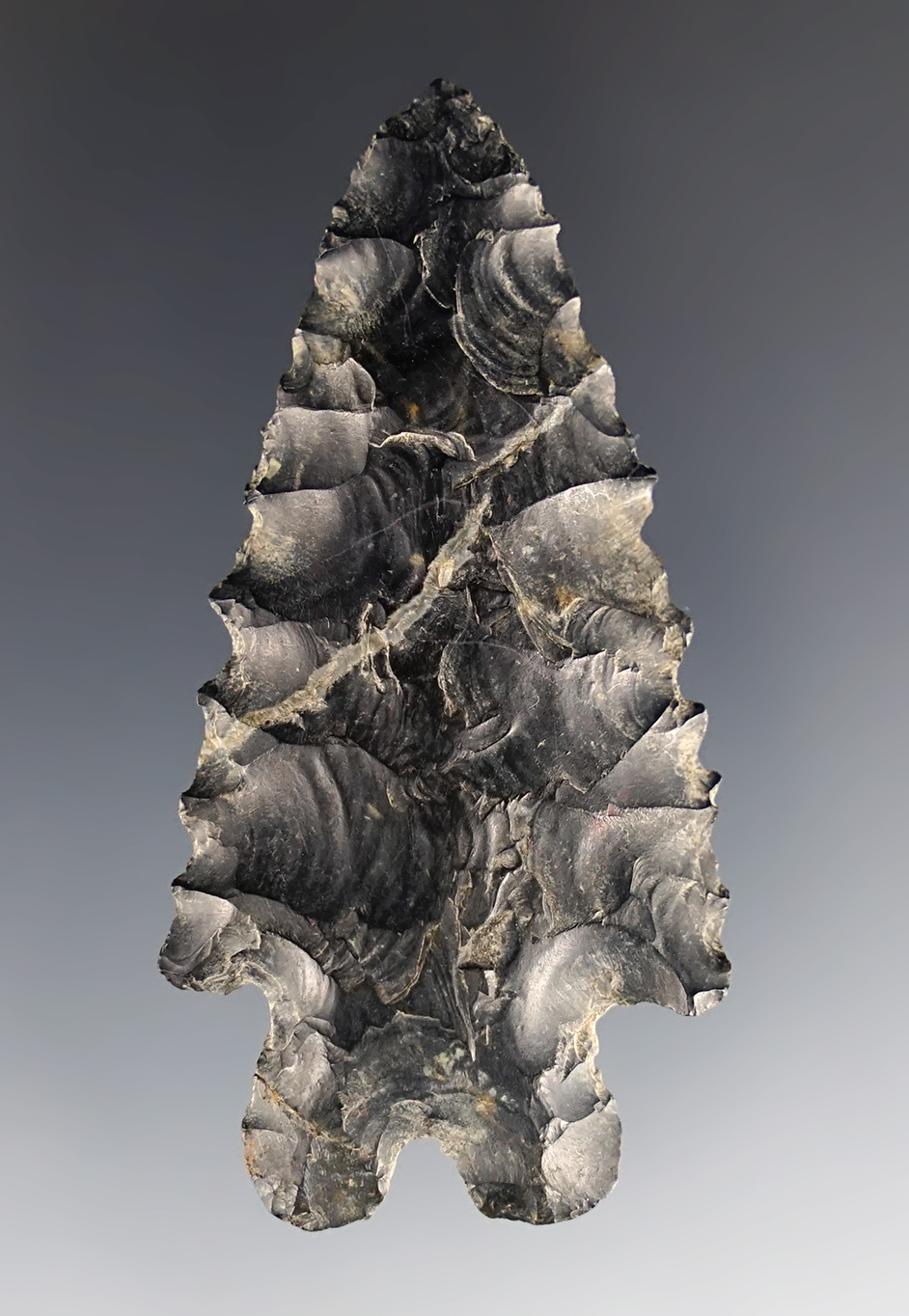 2 1/2" Coshocton Flint MacCorkle Bifurcate. Found in Knox Co., Ohio. Ex. Gilbert Dilley.
