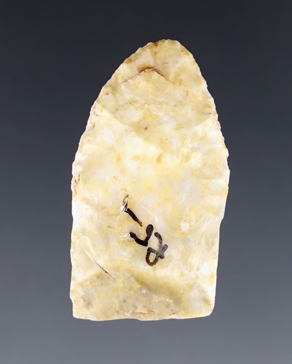 Thin 1 3/16" Paleo Midland found in Roosevelt Co., New Mexico. Ex. Dr. Davis collection.