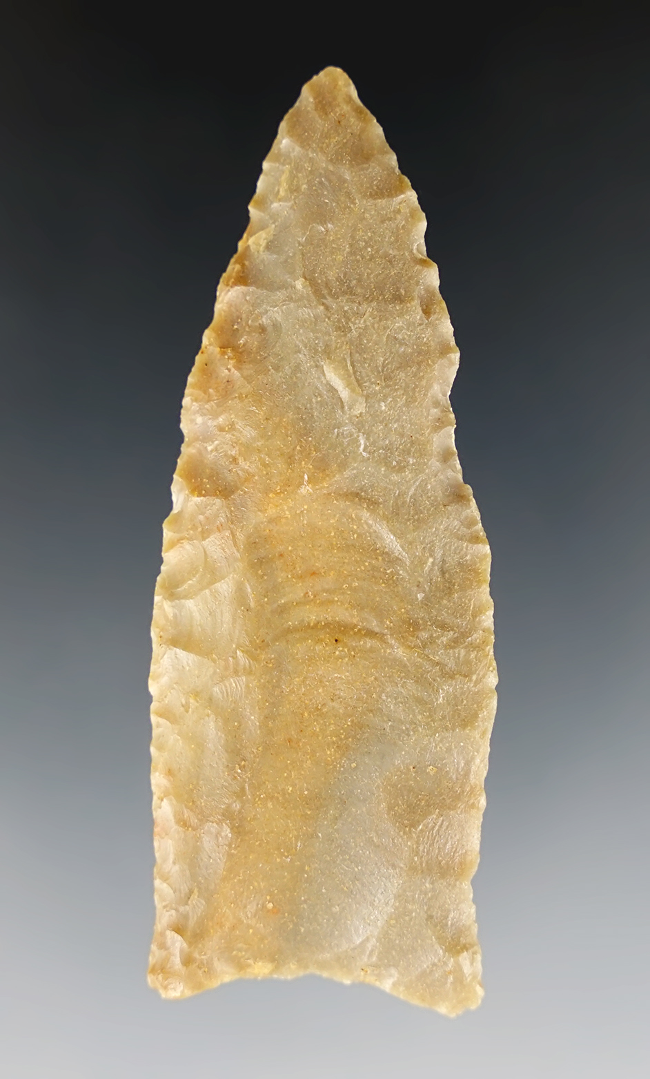Excellent 2 11/16" Fluted Paleo Clovis - fine example of the type! Found in Oklahoma.