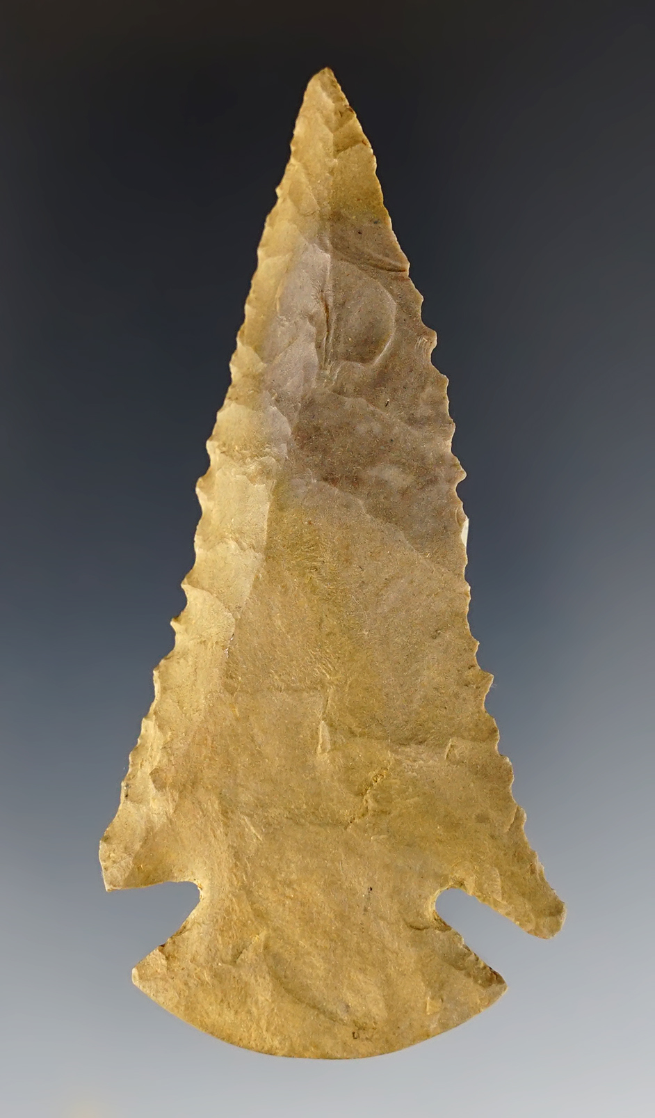 3" Dovetail that is steeply beveled and serrated. Found in Decatur Co., Tennessee.  Bennett COA.