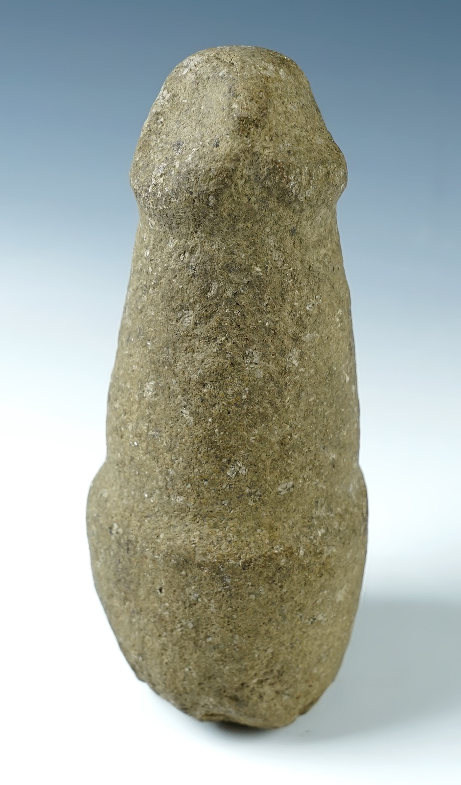 RARE! 7 3/4" Zoomorphic Effigy Knobbed-top Pestle recovered in Washington.