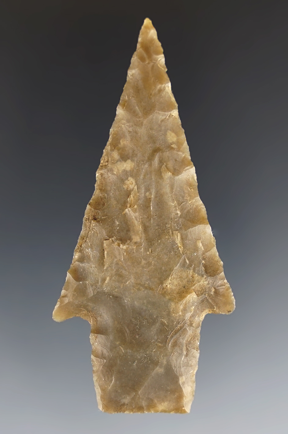 2 7/8" well made Darl Stemmed found in Coryell Co., Texas. Comes with a Bennett COA.
