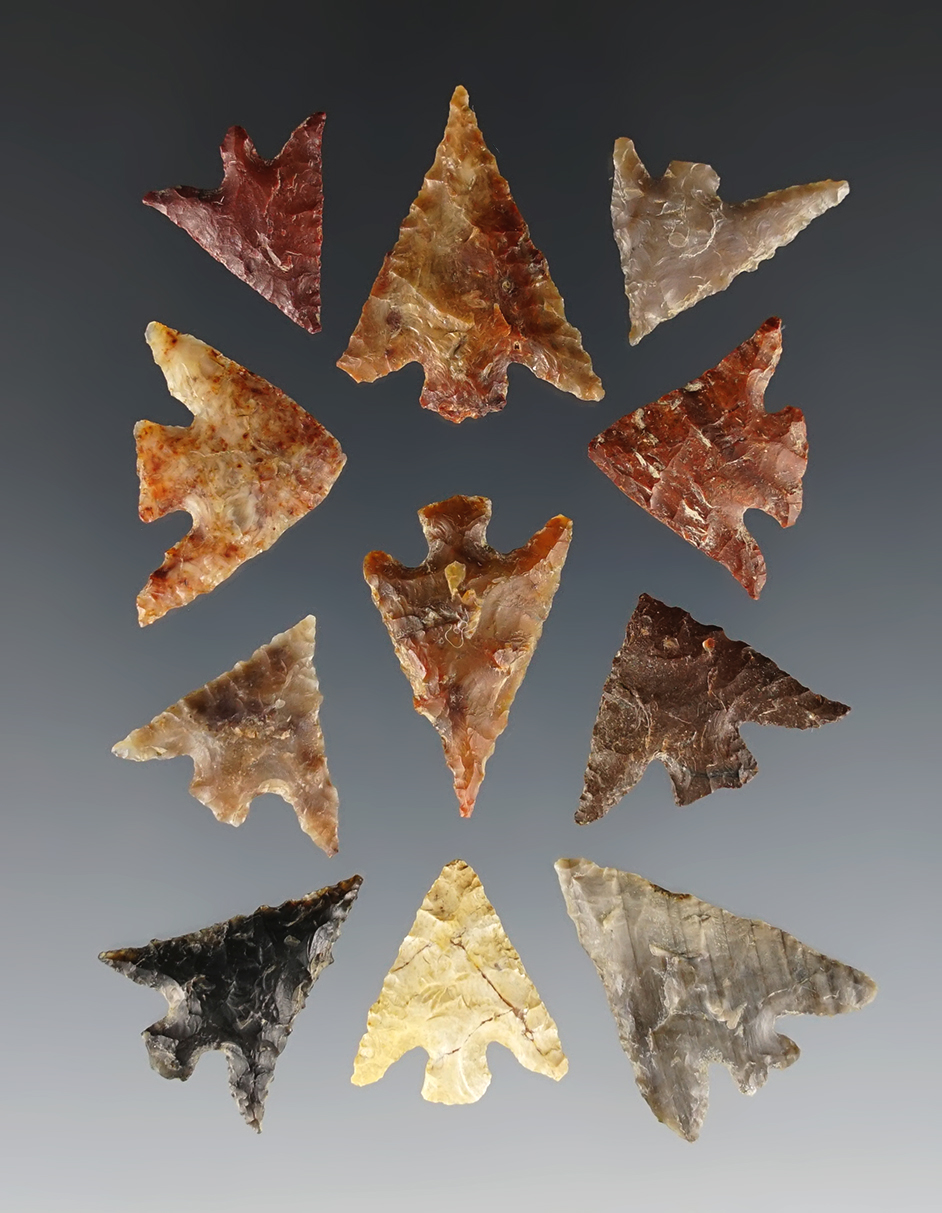 Set of 11 Columbia Plateau points found in the Washington/Oregon area. Ex. Gene Favell.
